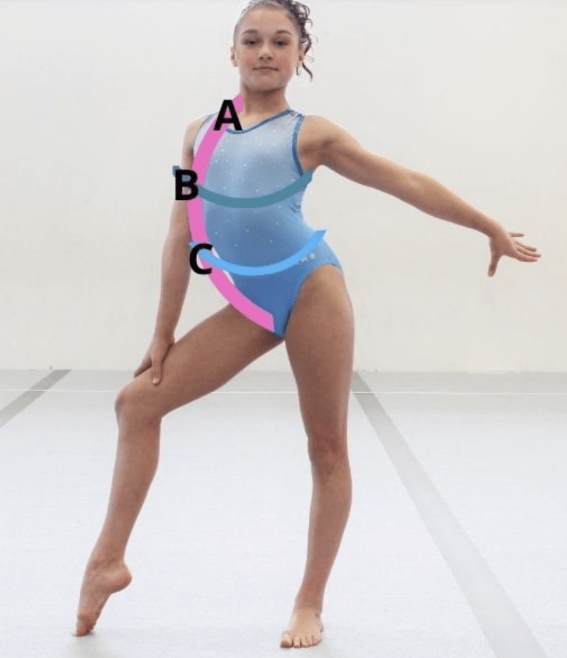 Leotards - Image 3